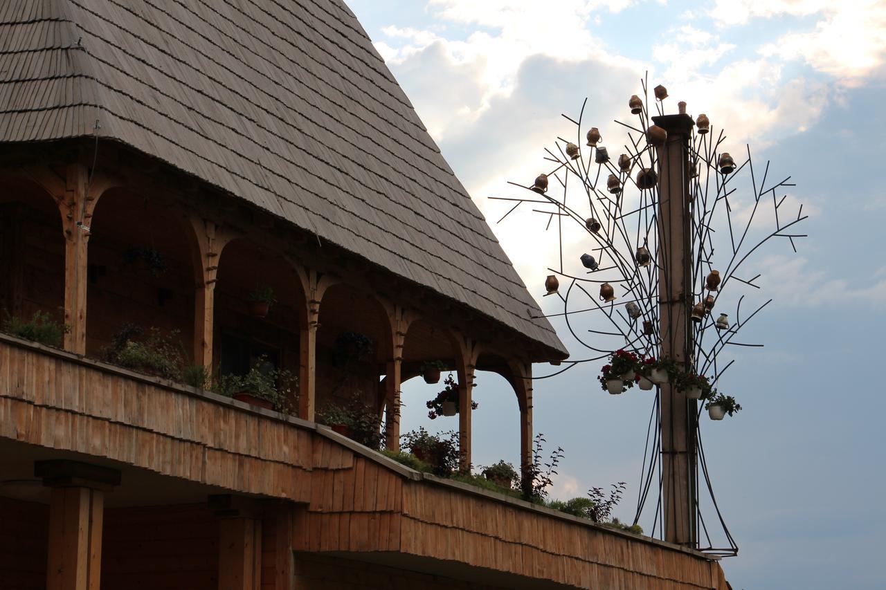 Casa Ralucai Moisei Exterior foto