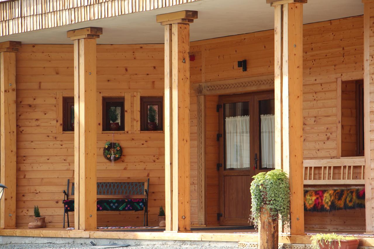 Casa Ralucai Moisei Exterior foto