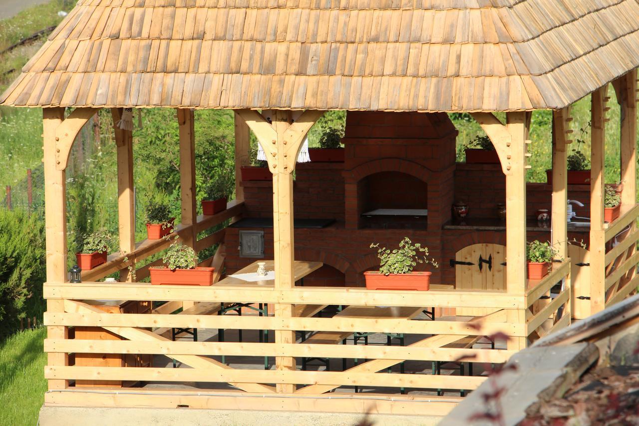 Casa Ralucai Moisei Exterior foto